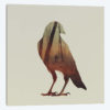 Crow