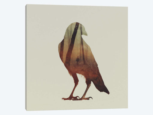 Crow