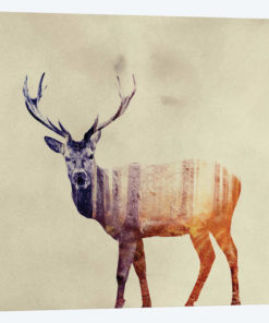 Deer I