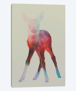 Fawn I