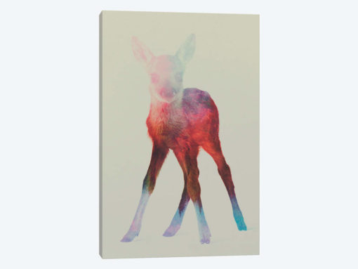 Fawn I
