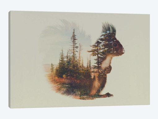 Squirrel