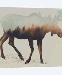 Elk I