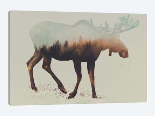 Elk I