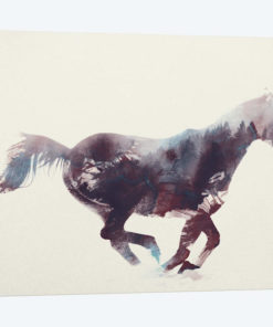 Horse I