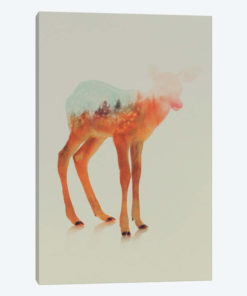 Fawn II