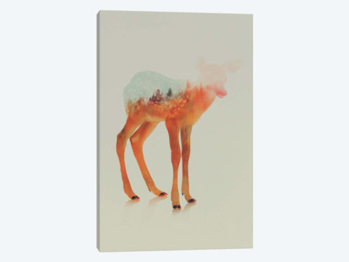 Fawn II