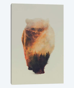 Approaching Bear