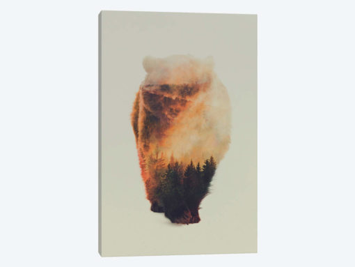 Approaching Bear