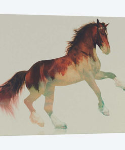 Horse II