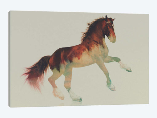 Horse II