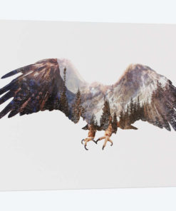 Arctic Eagle