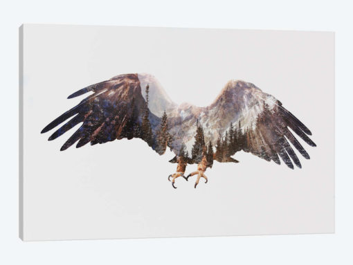 Arctic Eagle