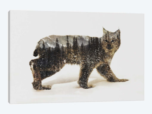 Lynx II