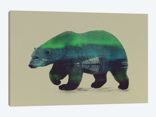 Northern Light for Polar Bear