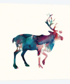 Reindeer II
