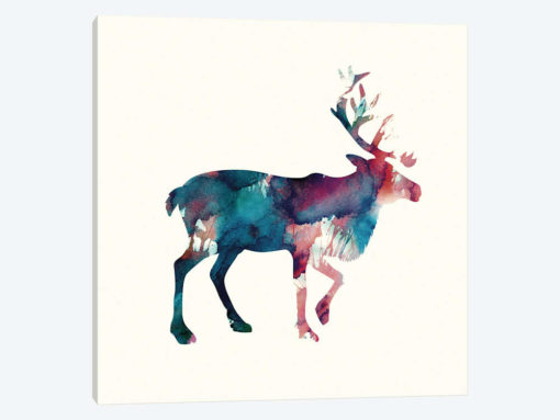 Reindeer II