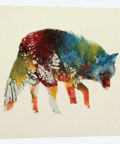 Wolfy