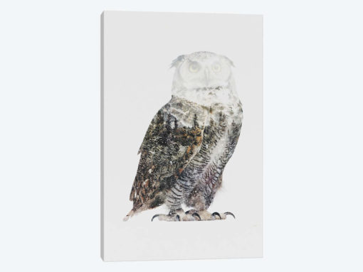 Arctic Owl