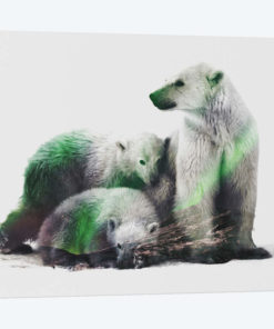Arctic Polar Bear Family