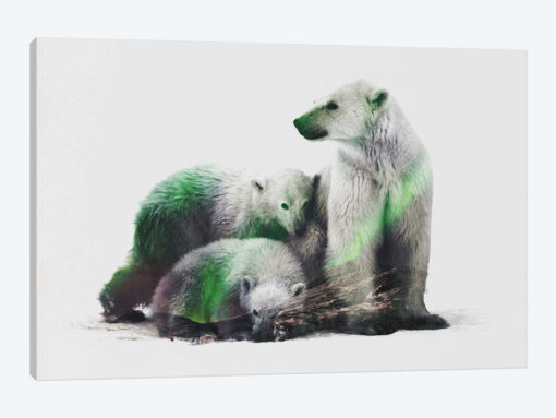 Arctic Polar Bear Family