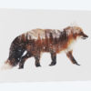 Arctic Red Fox