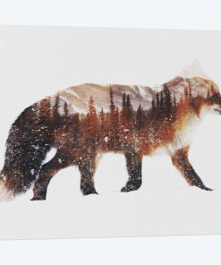 Arctic Red Fox