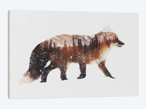 Arctic Red Fox