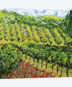 Mountain Vineyard
