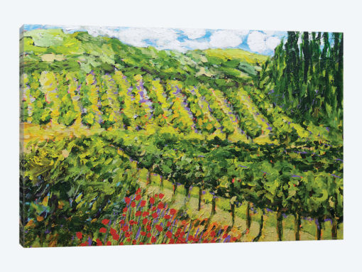 Mountain Vineyard