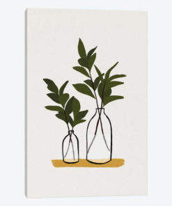 Branches & Bottles