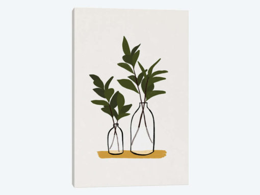 Branches & Bottles