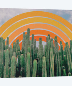 Cactus And Rainbow