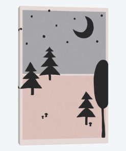 Forest At Night