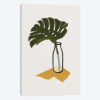 Monstera Deliciosa In A Bottle