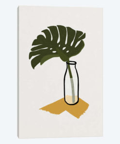 Monstera Deliciosa In A Bottle