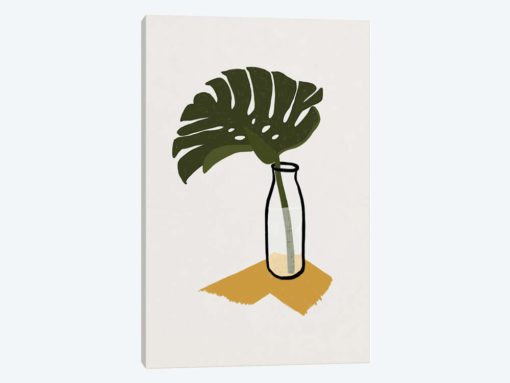 Monstera Deliciosa In A Bottle
