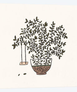 Potted Backyard