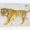 Big Cat II
