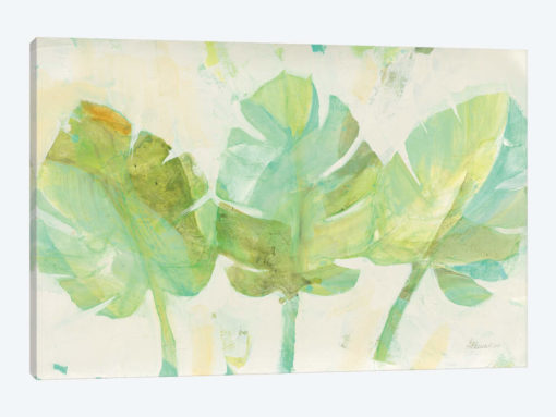 Tropical Trio