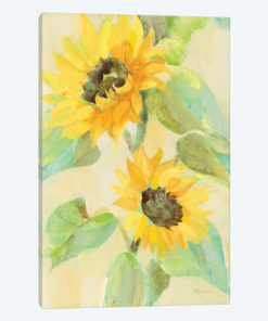 Sunny Blooms