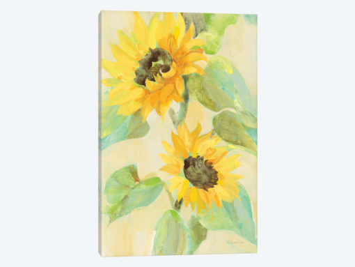 Sunny Blooms
