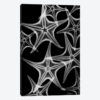 Starfish Spray