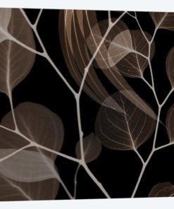 Chocolate Eucalyptus I