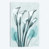 Calla Lily Crystalis I