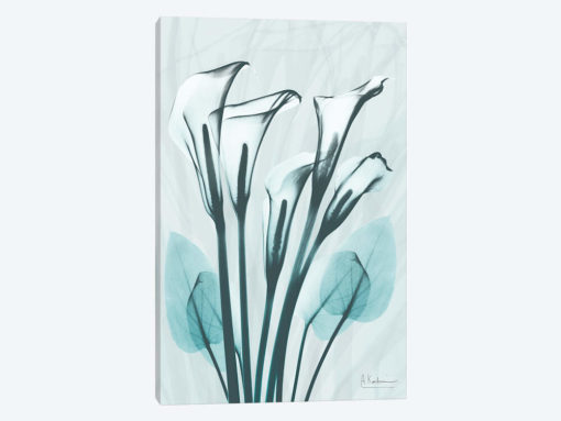 Calla Lily Crystalis I