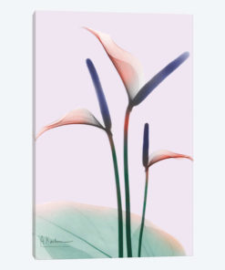 Flamingo Delight I