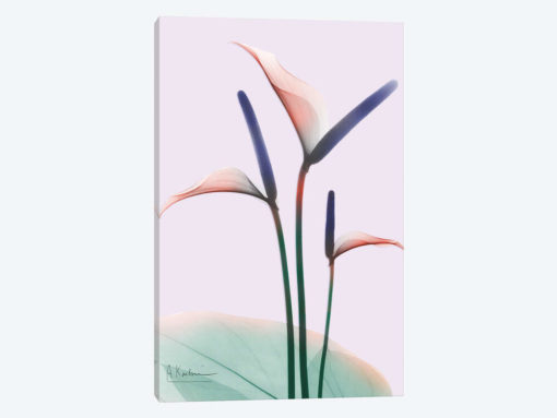 Flamingo Delight I
