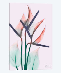 Flamingo Delight II