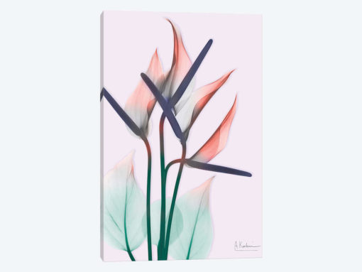 Flamingo Delight II